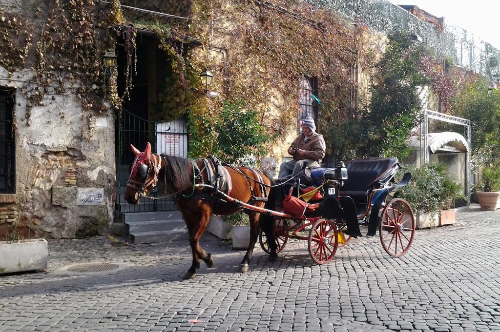 Affittacamere Hospitales Del Pellegrino - Trastevere